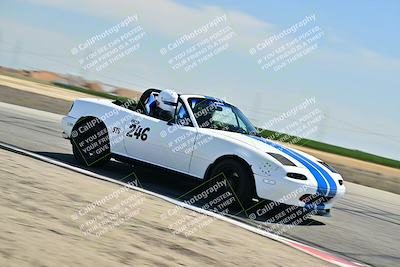 media/May-24-2025-Turn8 Trackdays (Sat) [[034586b55d]]/2 Advanced 1/Session 2 (Cotton Corners-Grapevine)/